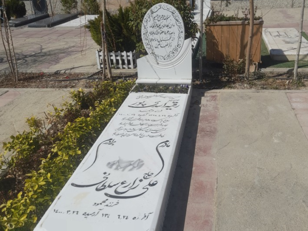 سنگ نانو سوپر باغچه ای کد02357